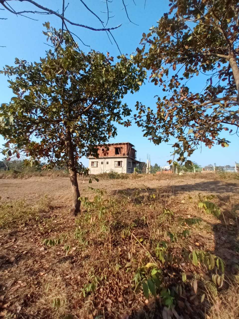  An early image of the Red House Art Exchange when it was initially set up