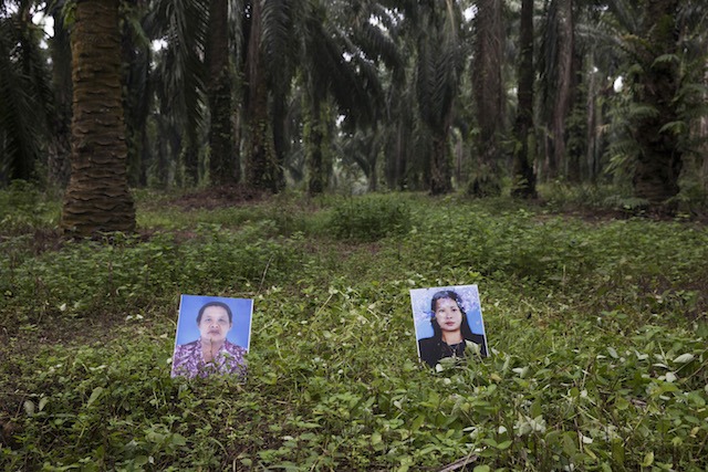 Ms. Montha Chukaew, 54, and Ms. Pranee Boonrat, 50, were shot and killed while they were on their way to a local market on the 19th November 2012. They were members of the Southern Peasants’ Federation of Thailand (SPFT) The SPFT is a people’s network formed in 2008 campaigning for the right to agricultural land in the Khlong Sai Pattana community in Chaiburi District, Surat Thani Province and other areas in the region.